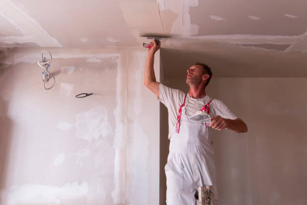 Best Drywall Crack Repair  in Folkston, GA